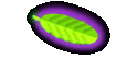 Adler