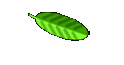 Vorgestellt
