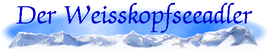 Der Weisskopfseeadler